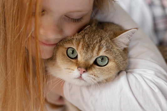 Felinoterapie aneb Jak dokáže kočka léčit