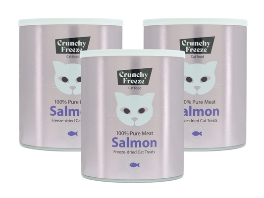 Crunchy Freeze Salmon Trojité balení Pamlsek pro kočky mrazem sušené lososové maso 3x140 g